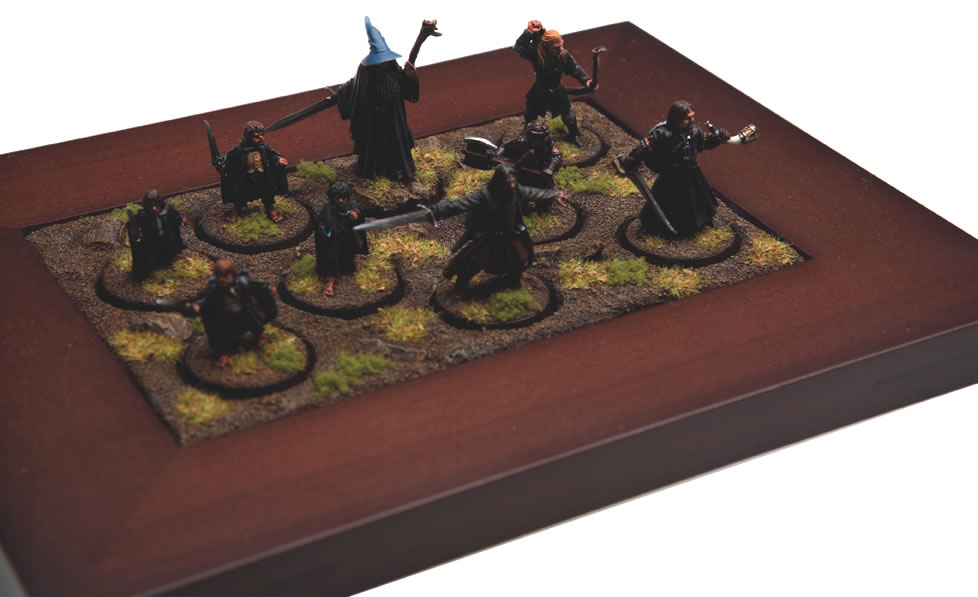 The Fellowship of The Ring by Bryan Ovington