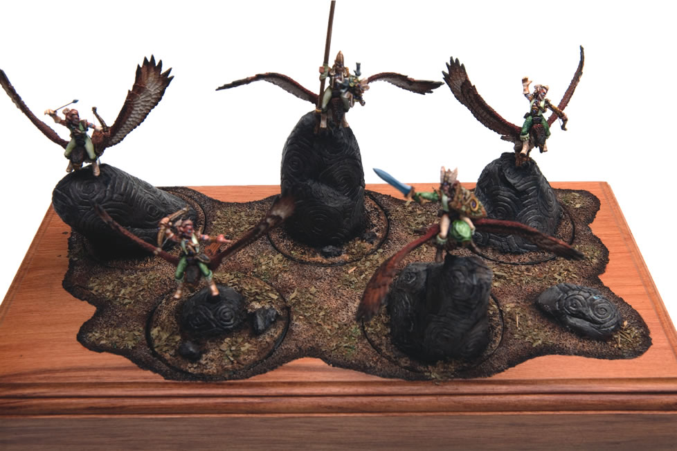 Warhawk Riders by Rachel Borthwick