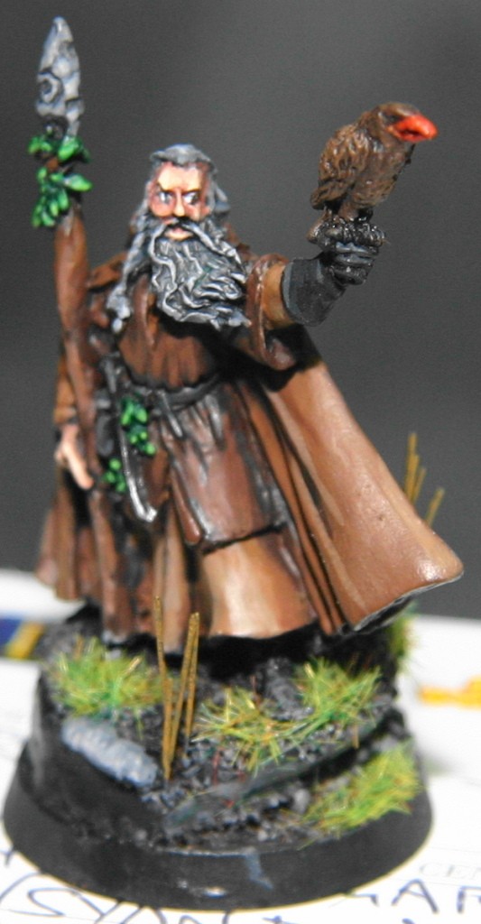 Radagast the Brown by Rhys Hagget
