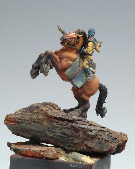 Tallarn Rider, Photo 2