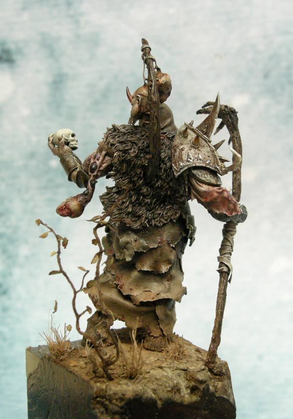 Nurgle sorcerer, Photo 3
