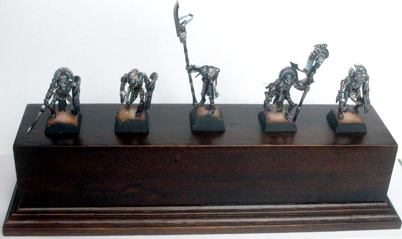 Scheletrinius, Photo 2