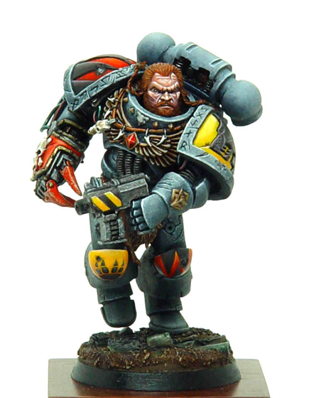 Space Wolves Space Marine, Photo 2