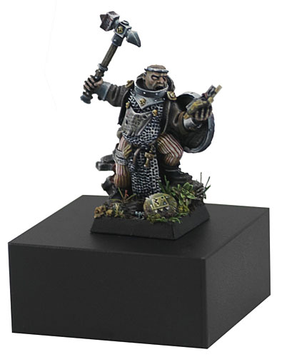 Warrior Priest in Lustria, Photo 2