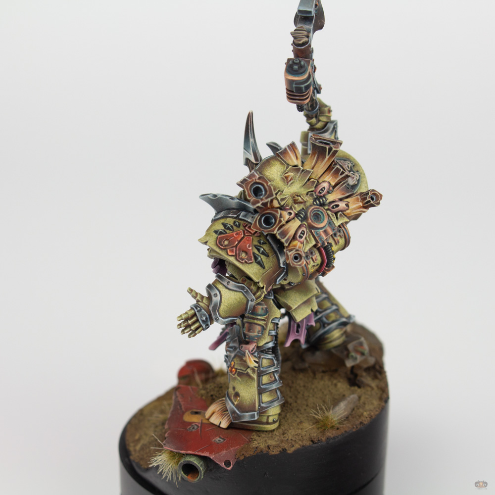 Typhus, Photo 4