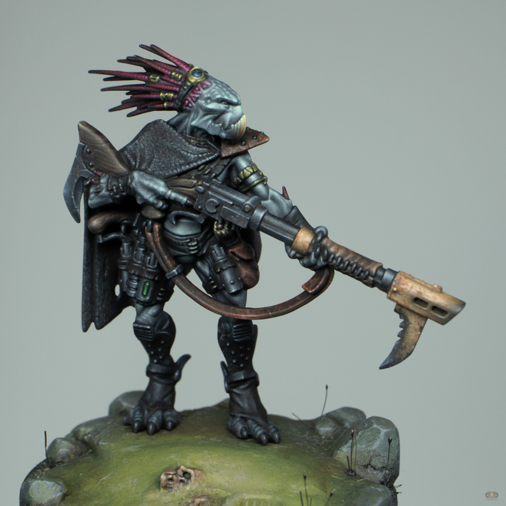 Kroot Tracker, Full view