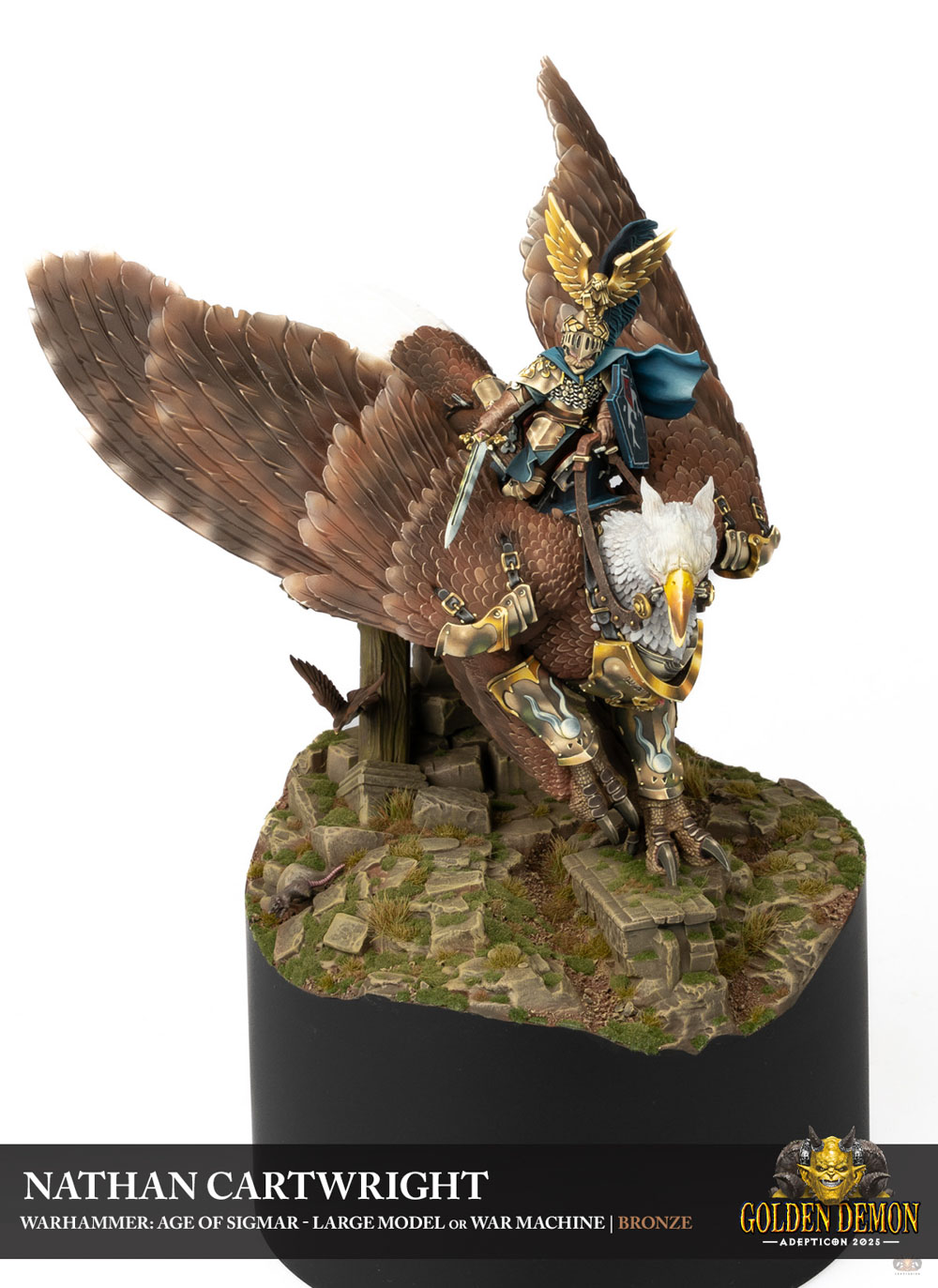 High Marshal on Griffon by Nathan Cartwright